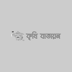 খেজুরের গোবরে পোকা