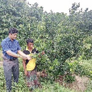 মাঠ পরিদর্শন