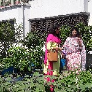 Rooftop gardening