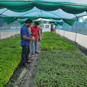 কৃষিতে আধুনিকতা